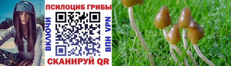 Галлюциногенные грибы GOLDEN TEACHER  наркотики  Ершов 