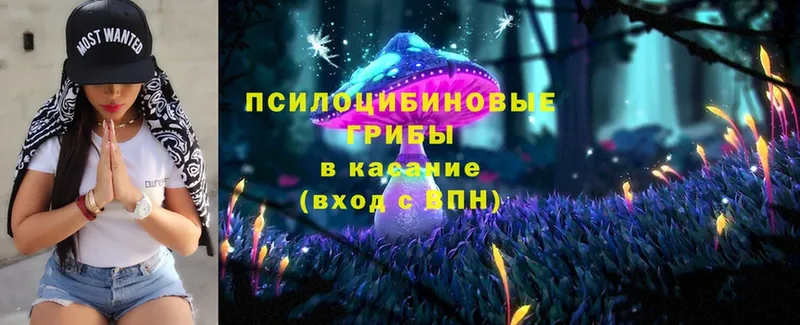 Галлюциногенные грибы Magic Shrooms  купить  сайты  Ершов 